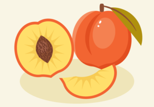 Create a Peach Illustration in Illustrator