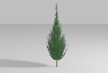 Modelling a Christmas Tree in Cinema 4D