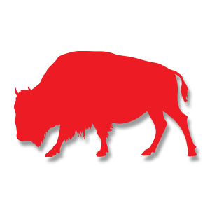 American Buffalo Silhouette Free Vector