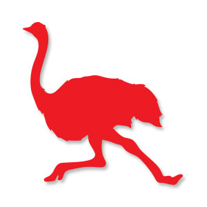 Download Ostrich Bird Silhouette Free Vector download - Cgcreativeshop