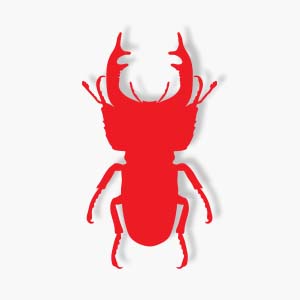 Stag Beetle Silhouette Free Vector download