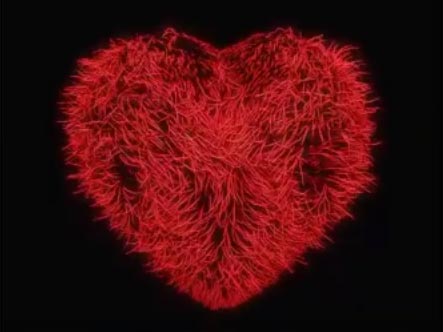 Create Animated Fur Heart in Cinema 4D