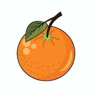 Simple Orange Fruit Free Vector download