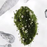 Create Grass Effect Growing on a Rock in Cinema 4D